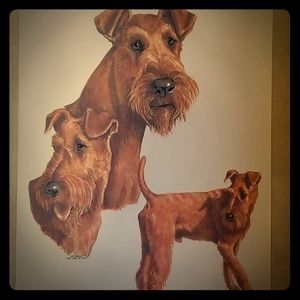 COPY - Large Airdale Terriers Heat Transfer